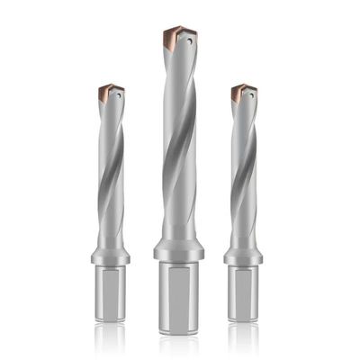 ราคาดี 14D สายลอกลมบดบดบดบดบดบดบดบดบดบดบดบดบดบดบดบดบดบด ออนไลน์